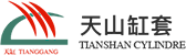 Ningbo Daxie Entwicklungszone Tianshan Zylinderblock Co., LTD.
