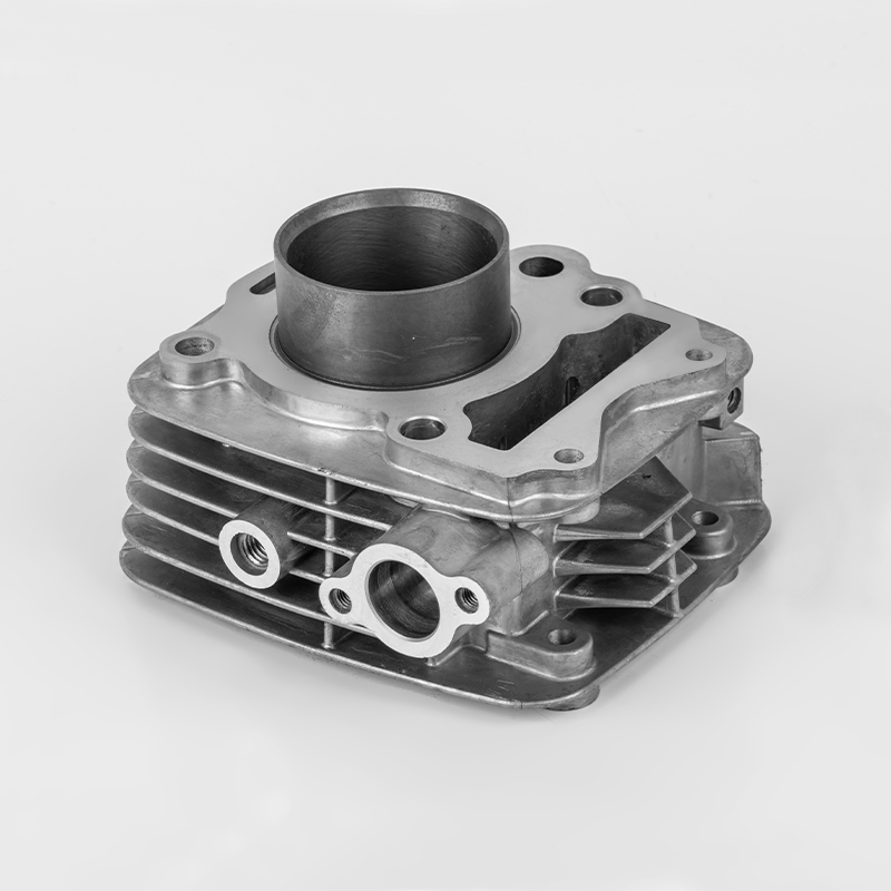 TVS110 (Φ53,5) TVS-Hochleistungsmotor