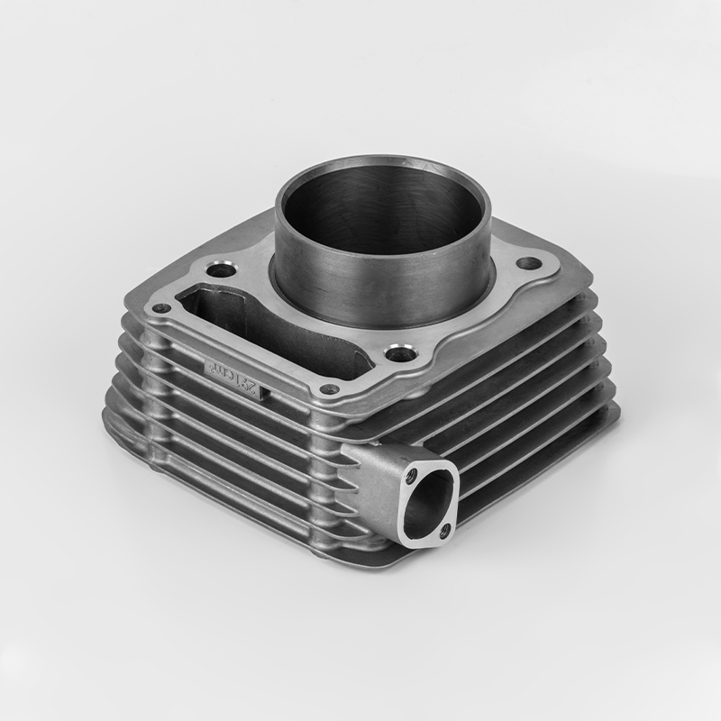 CBX300 (Φ79/84) Honda Einzylinder-Motor mit großem Hubraum, Zylindergehäuse aus Aluminiumlegierung/Gusseisen