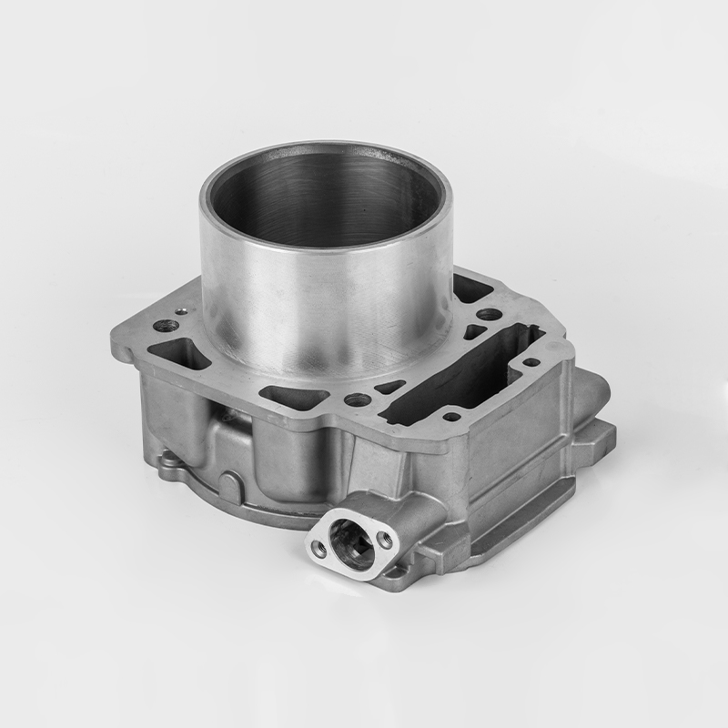 Liangzi 1000 (Φ91) Bombardier 1000 Motorzylinder langlebige Serie