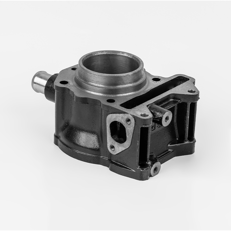 PIAGGIO 125 (Φ57) Gusseisenzylinder